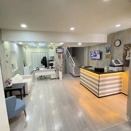 Taksim Sem Hotel Provincia di Istanbul